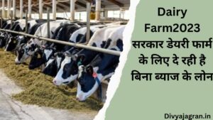 Dairy Farm2023 :सरकार डेयरी फार्म के लिए दे रही है बिना ब्याज के लोन, सिर्फ 15 दिन में आपके खाते में आयेगा सीधा पैसा